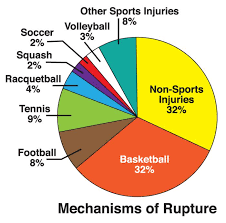 Figure 2 Pie Chart Illustrates The Relative Frequency Of