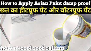 asian paint heat proof paint heat