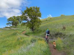 the best mountain bike trails by