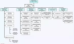 Company Org Chart Software Guatemalago