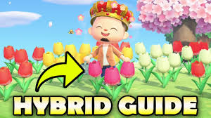 how to get rare hybrid flowers in