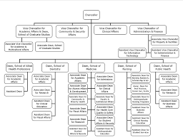 Organizational Chart Louisiana State University Health