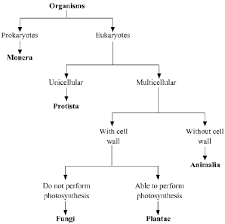 I Want Flow Chart Of Chapter Diversity In Living Organism