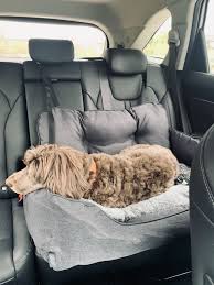 Luxury Pet Booster Car Seat Travel Bed