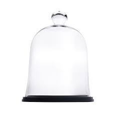 Glass Bell Cloche Display Dome With