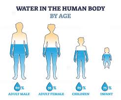 water in human body by age as