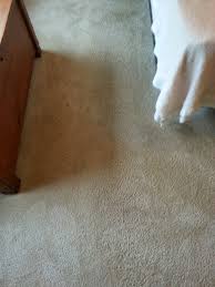 carpet cleaning minneapolis mn lucas