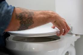 How To Remove Or Replace A Toilet Seat