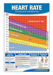 Buy Fitness Heart Rate Chart Poster Fitness Heart Rate