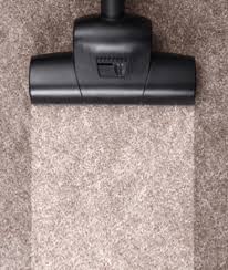 carpet installation service in sparta