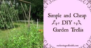Simple And Diy Garden Trellis