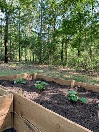 How To Make Raised Garden Beds At
