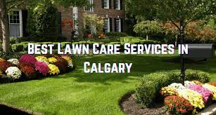 Explore other popular home services near you from over 7 million businesses with over 142 million reviews and opinions from yelpers. 21 Services For The Best Lawn Care In Calgary 2021