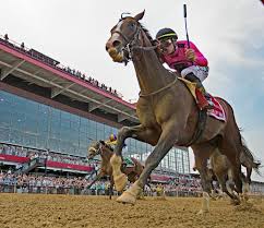 War Of Will Rides Rail To Preakness Stakes Victory