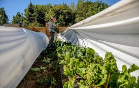 farmers markets go on across utah