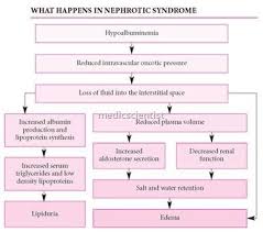 American Journal Of Kidney Diseases Nephrotic Syndrome