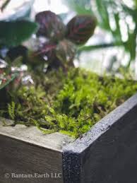 Diy Mini Indoor Planter Box With Built