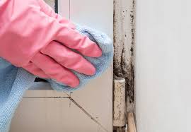 mold what you need to know to cut your