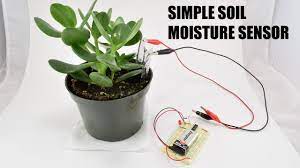 simple soil moisture sensor circuit