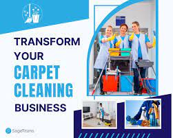 profitable carpet cleaning business