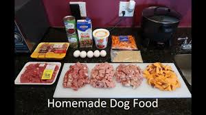 best homemade dog food video from a