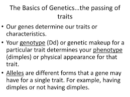 ppt the basics of genetics the