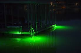 Hydro Glow Ds 6o Underwater Led Dock Lighting Green Fish Light With 50 Cord