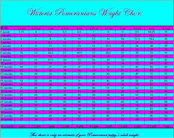 Weight Chart Wisteria Pomeranians