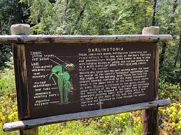 Our 2021 property listings offer a large selection of 218 vacation rentals around darlingtonia state natural site. Fens And Cobra Lilies Darlingtonia State Natural Site Road Trips For Families
