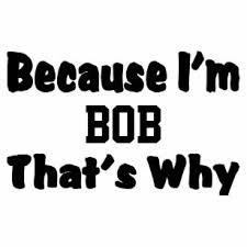 Image result for im bob