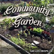 Community Garden Community Gardening