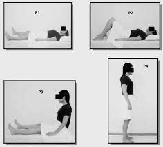 pelvic floor muscle essment using