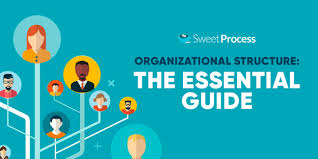 organizational structure the essential