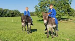 Can a grown man ride a donkey?