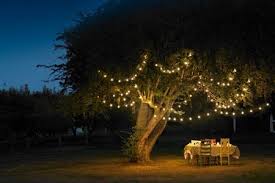 Warm White Led String Fairy Lights Hire