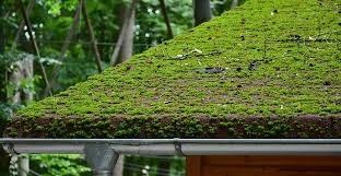 Remove Moss On Your Outdoor Surfaces