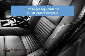 Dog Scratches Out Of Leather Car Seat