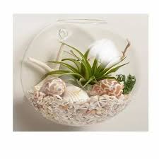 Glass Wall Mount Hanging Terrarium