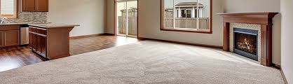 residential carpet cleaning st