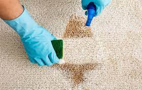 top tips on maintaining your carpet