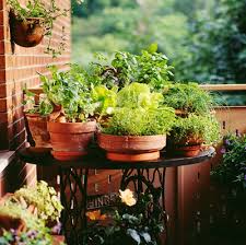 20 Small Balcony Garden Ideas For An