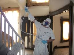 professional house painting your