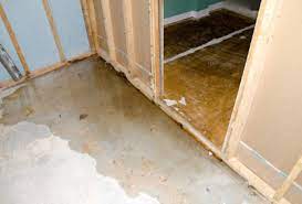 water damaged carpet cleaning tricks