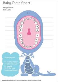 Free Baby Tooth Chart Picture Tooth Chart Baby Diary