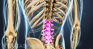 Lower left back pain can be caused by damages to the soft tissues, such as ligaments, muscles, and joints, or it can be due to a problem involving any of the internal organs in the area, such as intestines, kidneys, and reproductive organs. Understanding Lower Back Anatomy