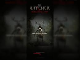 Cd projekt red and spokko have finally announced that the witcher: P4dzrwvv7qgaym