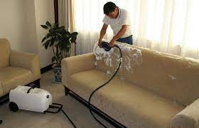 sofa dry clean at best in