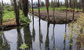 Logran el saneamiento de chinampas de Xochimilco con materiales orgánicos