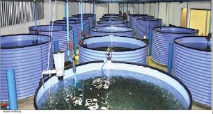 Small scale farmers receive training on fish production - Punch Newspapers