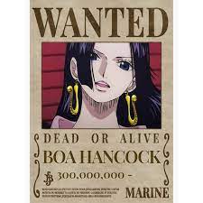 One Piece Wanted Posters - Boa Hancock Wanted Poster Wall Decor | One Piece  Store